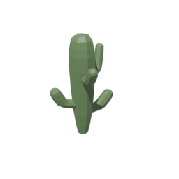 Cactus 2
